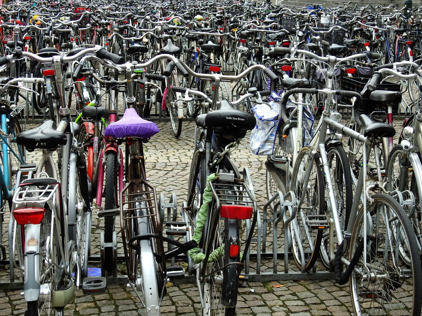 Nikon Coolpix P900 sample photo. Parking, wheel, bike photography