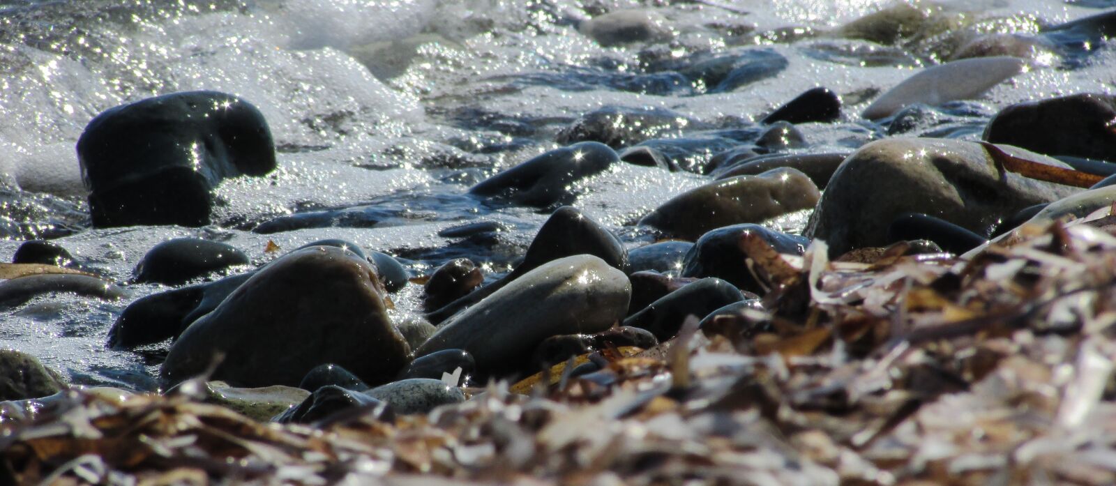 Canon PowerShot SX400 IS sample photo. Pebble beach, stones, wave photography