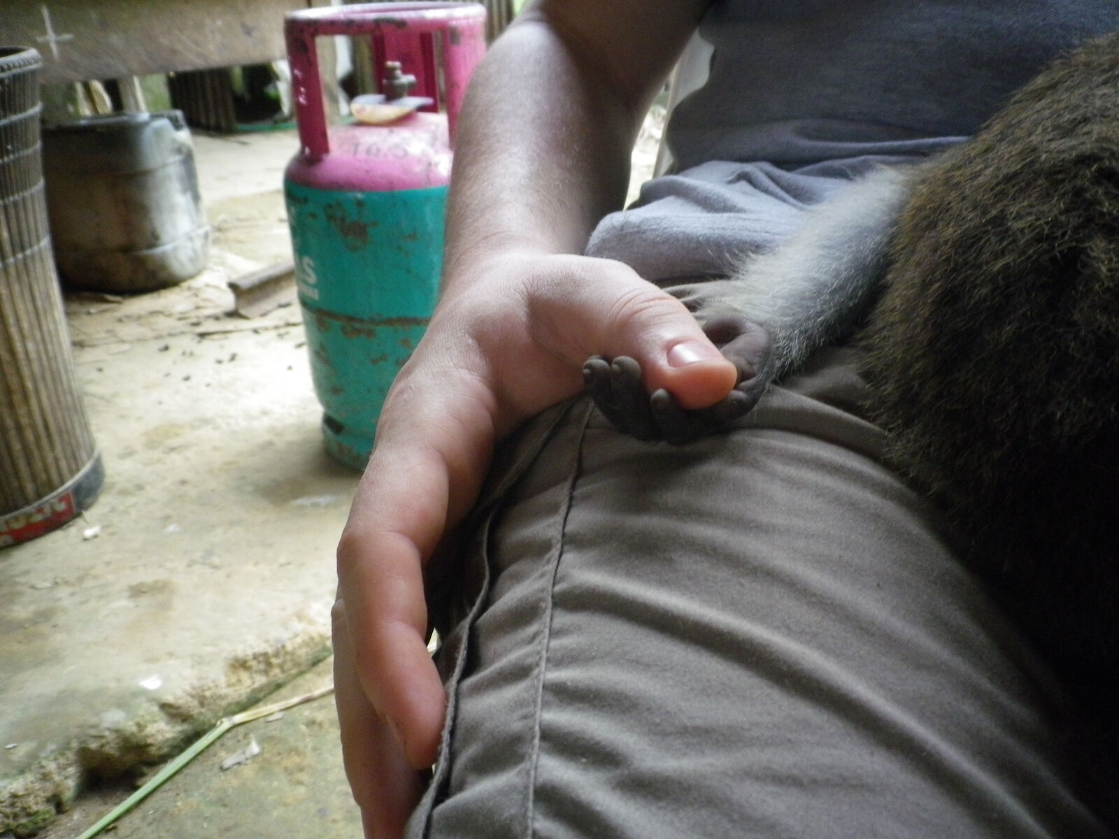 Pentax Optio H90 sample photo. Baby, hands, human, monkey photography