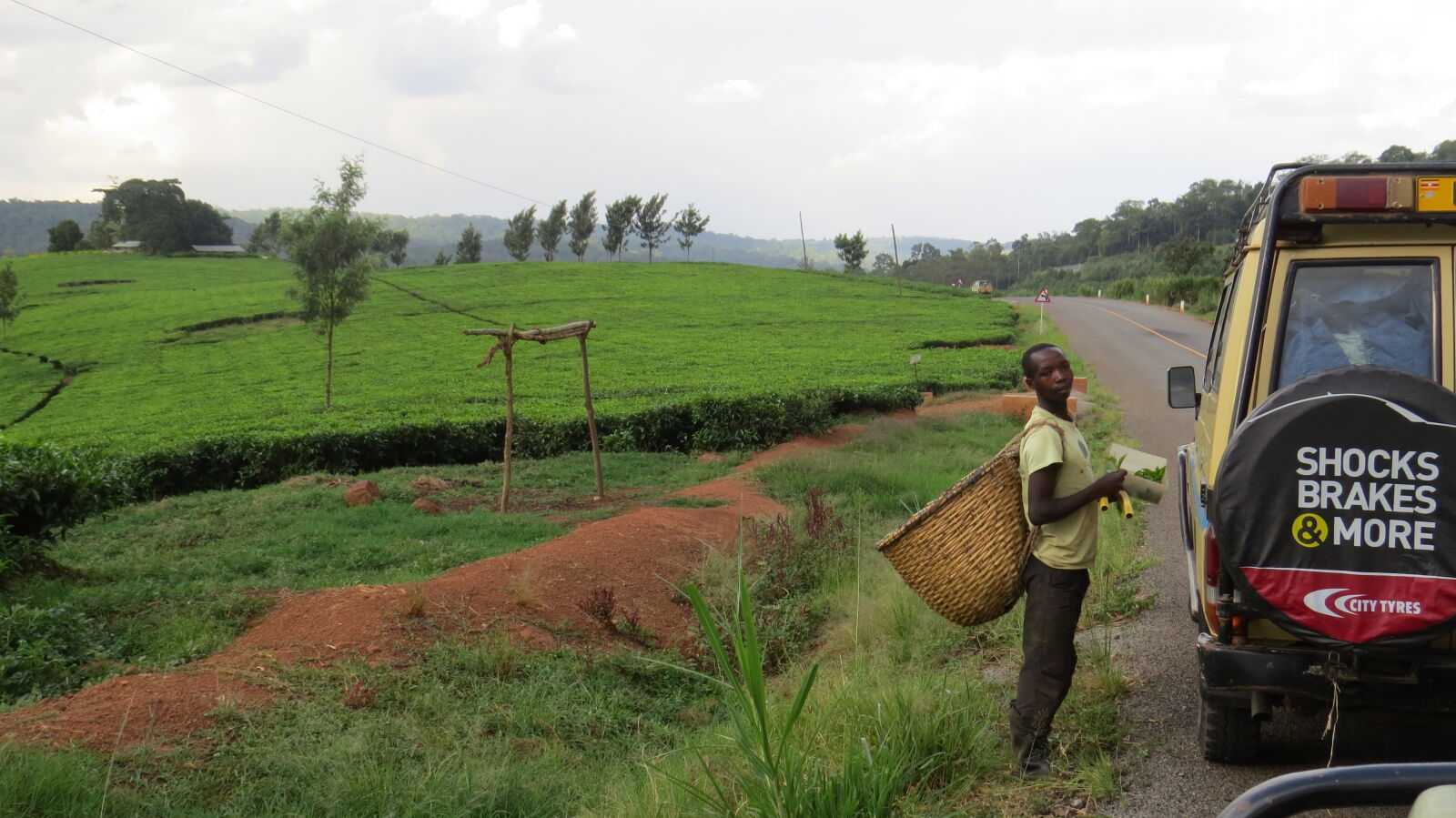 Canon PowerShot SX50 HS sample photo. Africa, road, trip, tea photography