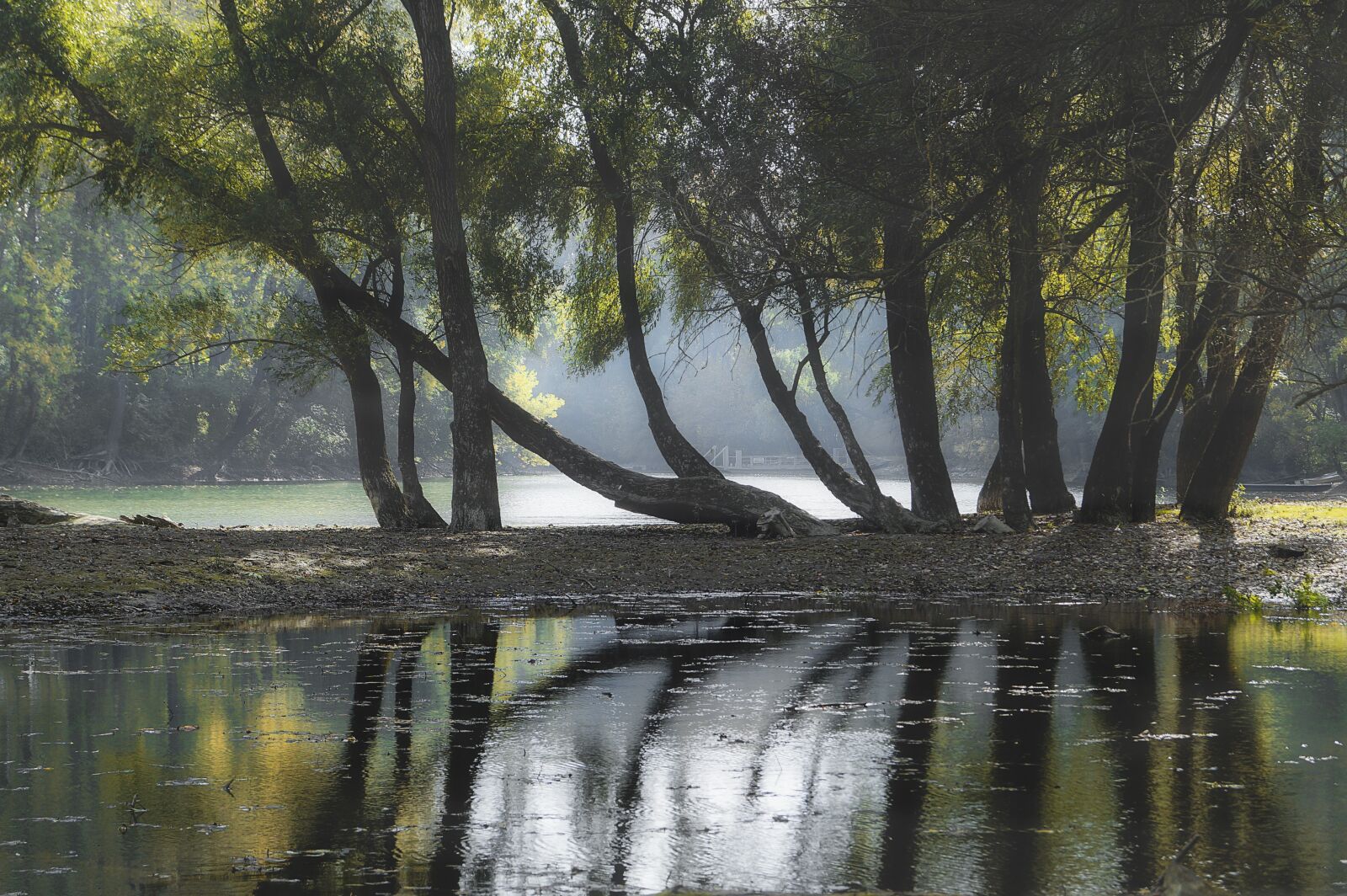 Sony DT 18-55mm F3.5-5.6 SAM II sample photo. Trees, water, nature photography