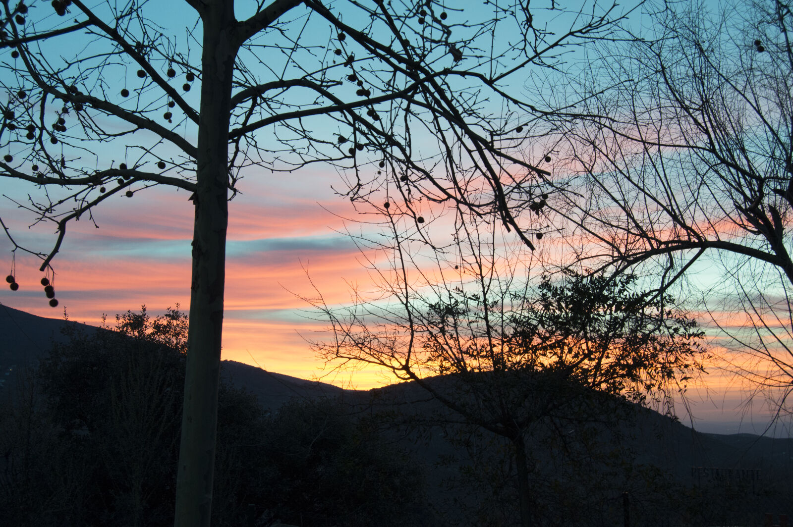 Nikon D3200 sample photo