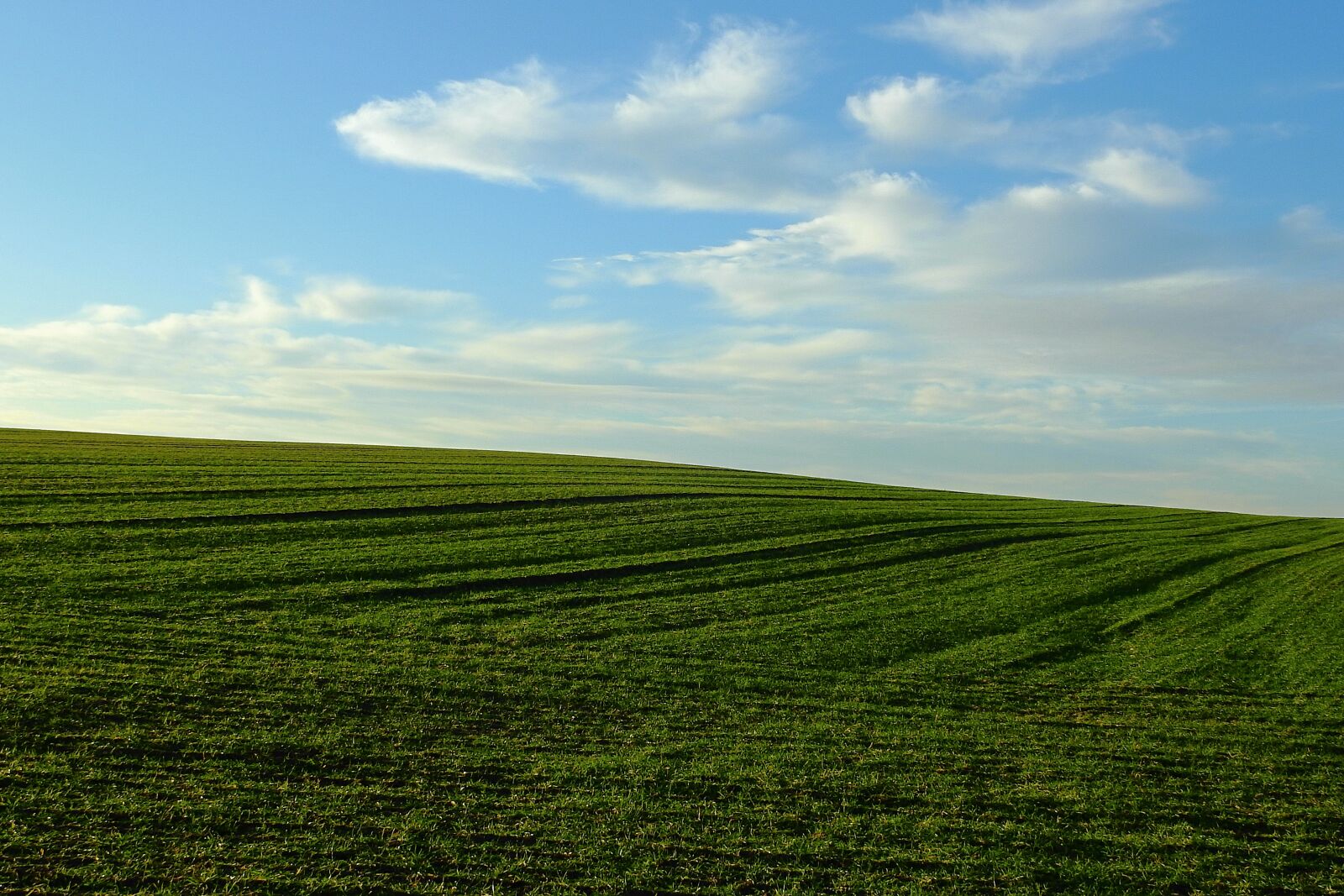 Nikon Coolpix P900 sample photo. Field, winter, landscape photography