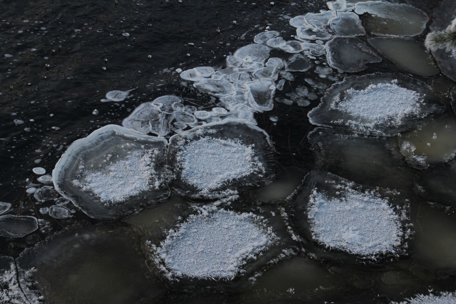 Canon EOS 550D (EOS Rebel T2i / EOS Kiss X4) sample photo. Ice, water, power photography