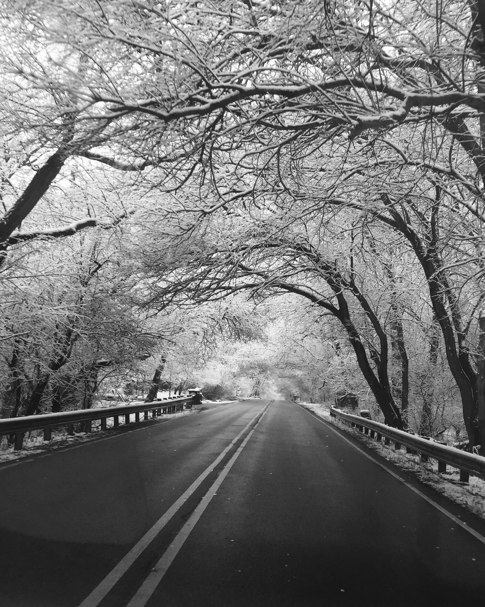 Apple iPhone 6 sample photo. Winter, road, black and photography