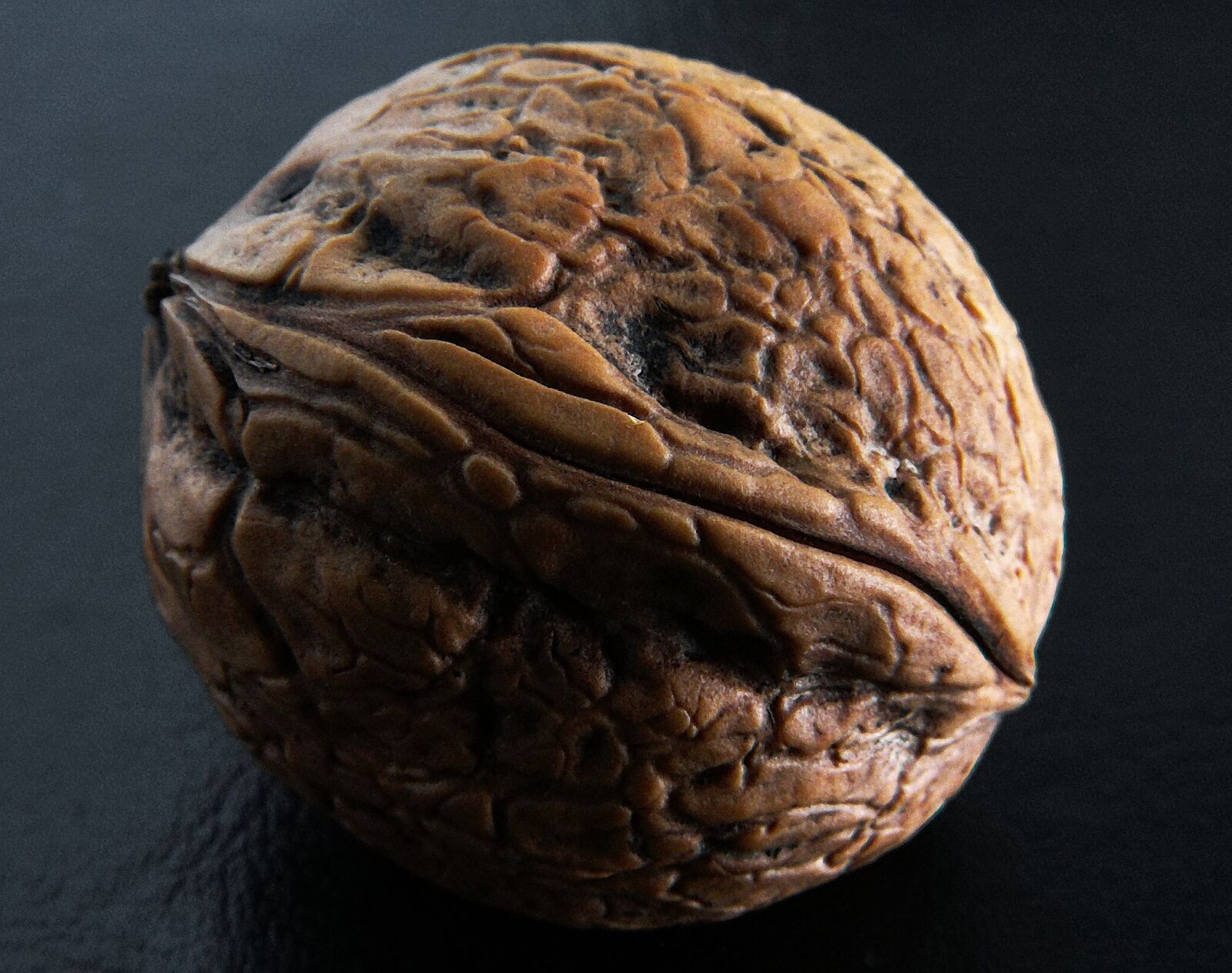 KONICA MINOLTA DiMAGE Z3 sample photo. Walnut, walnut waxes, hard photography