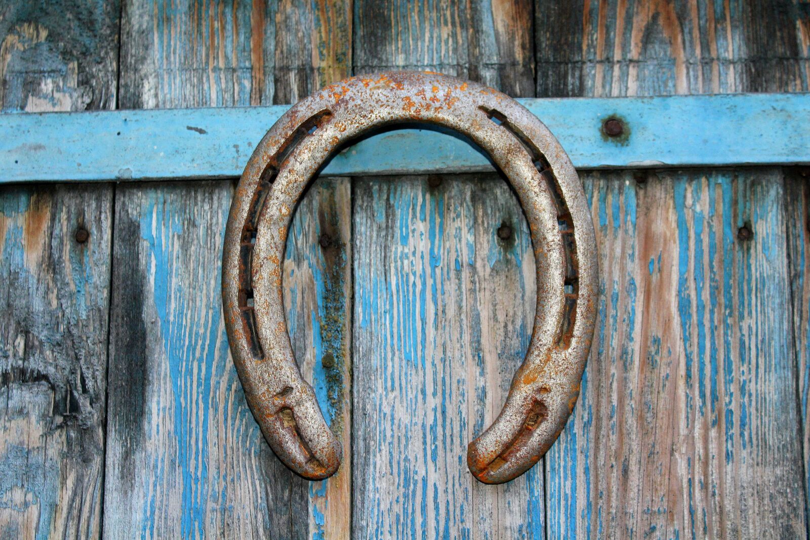 Canon EOS 1200D (EOS Rebel T5 / EOS Kiss X70 / EOS Hi) sample photo. Horseshoe, symbol, talisman photography