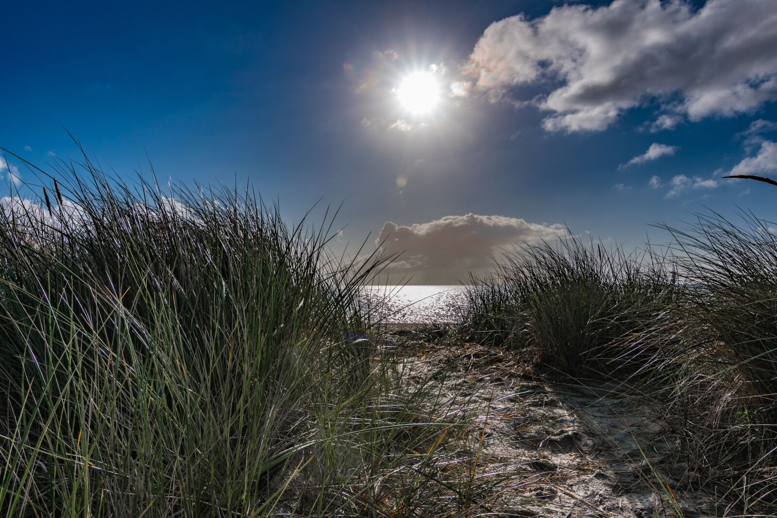 Tokina AT-X Pro 11-16mm F2.8 DX II sample photo. Nature, sky, panorama photography