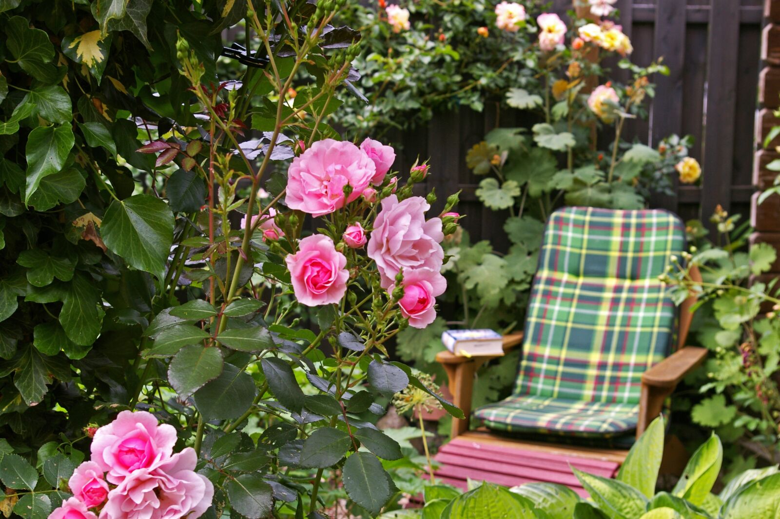 Pentax *ist DL2 sample photo. Favorite place, garden, relax photography