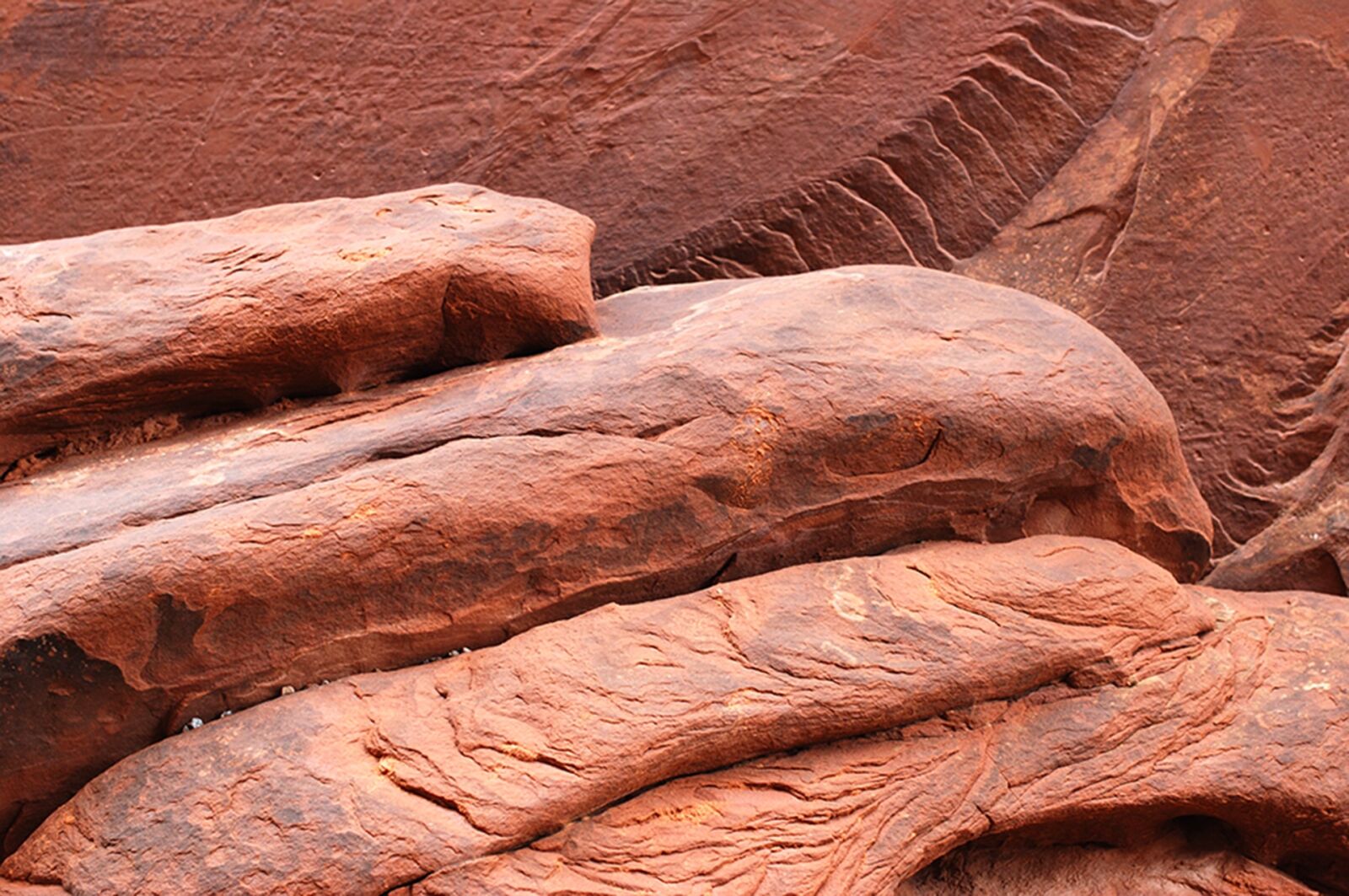 Nikon D40X sample photo. Red rocks, arizona, texture photography