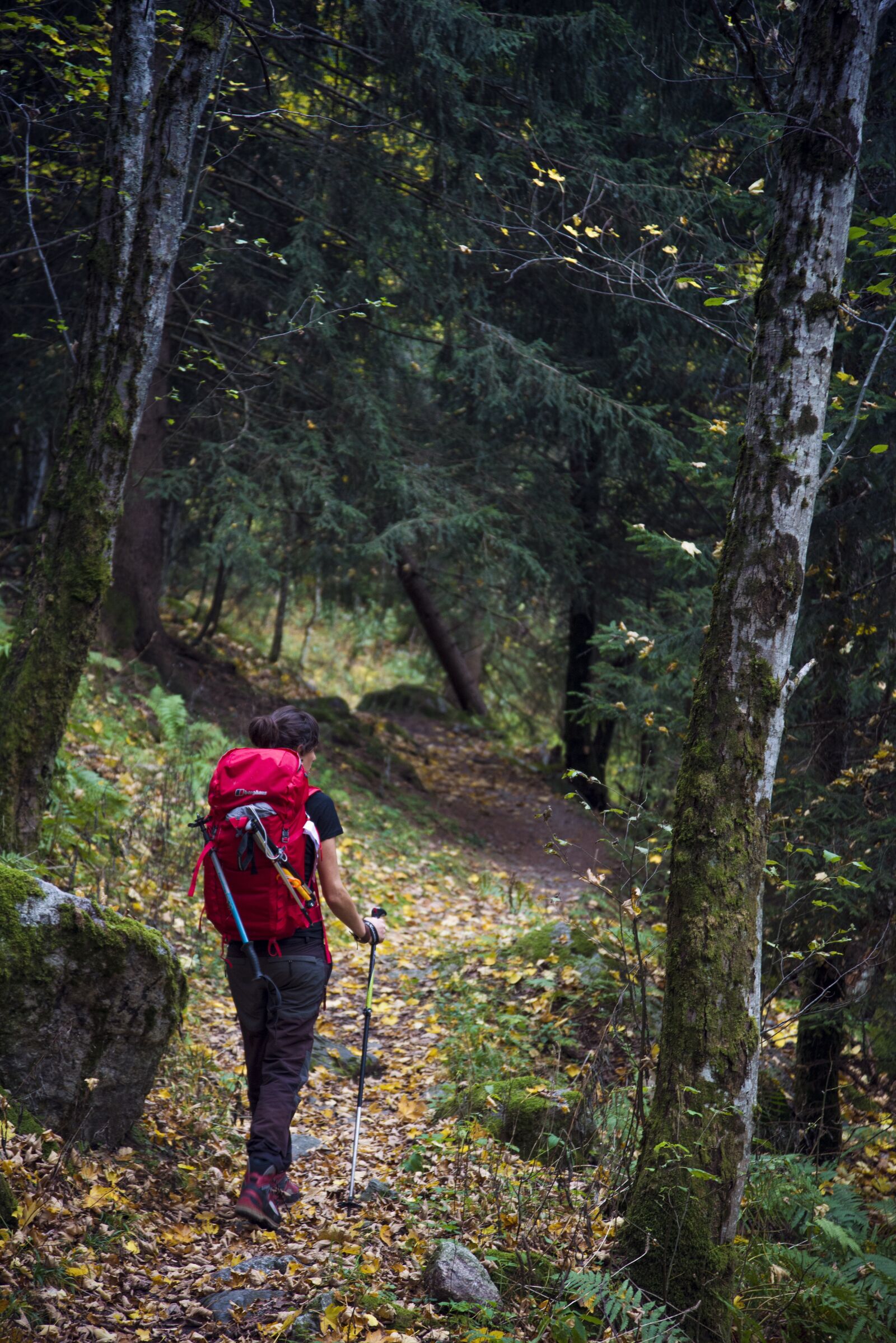 Nikon D610 sample photo. Trekking, sports, mountain photography