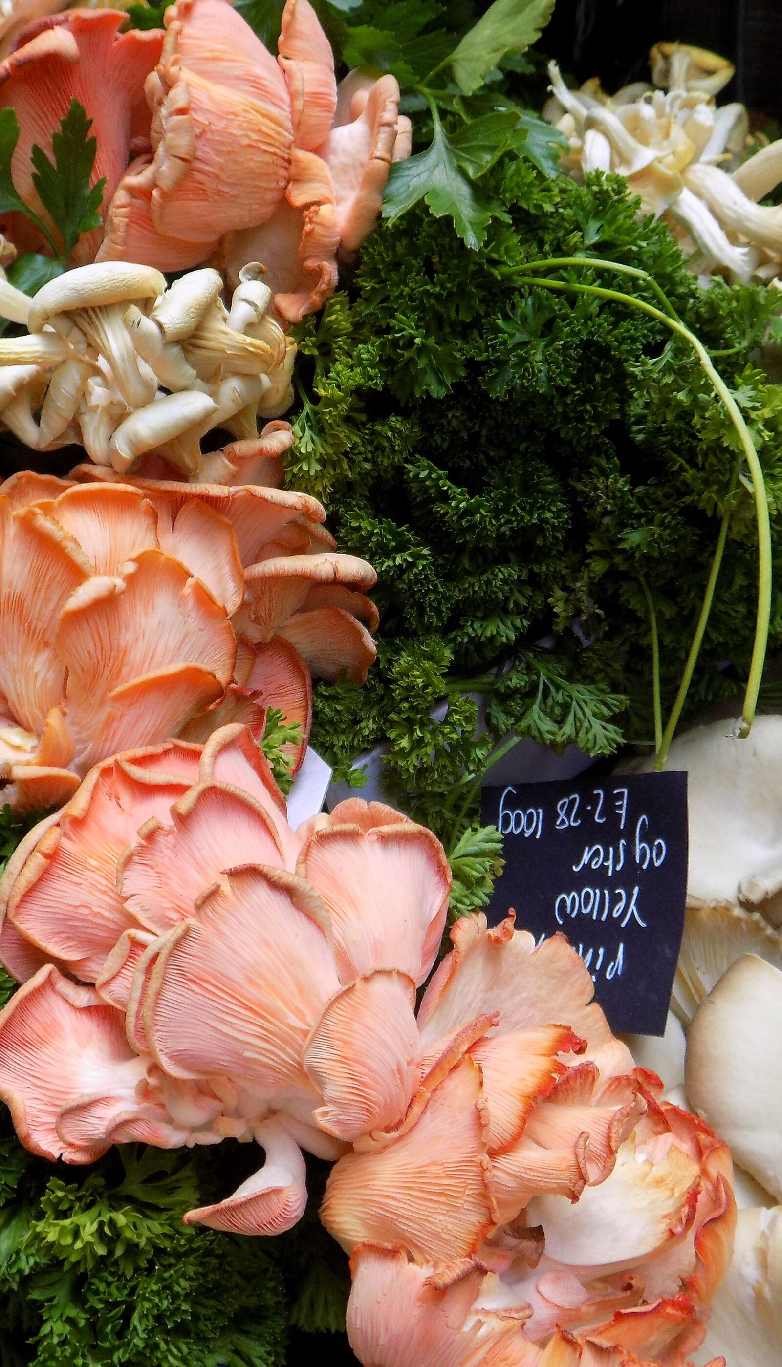 Nikon COOLPIX L340 sample photo. Mushrooms, oyster mushrooms, market photography