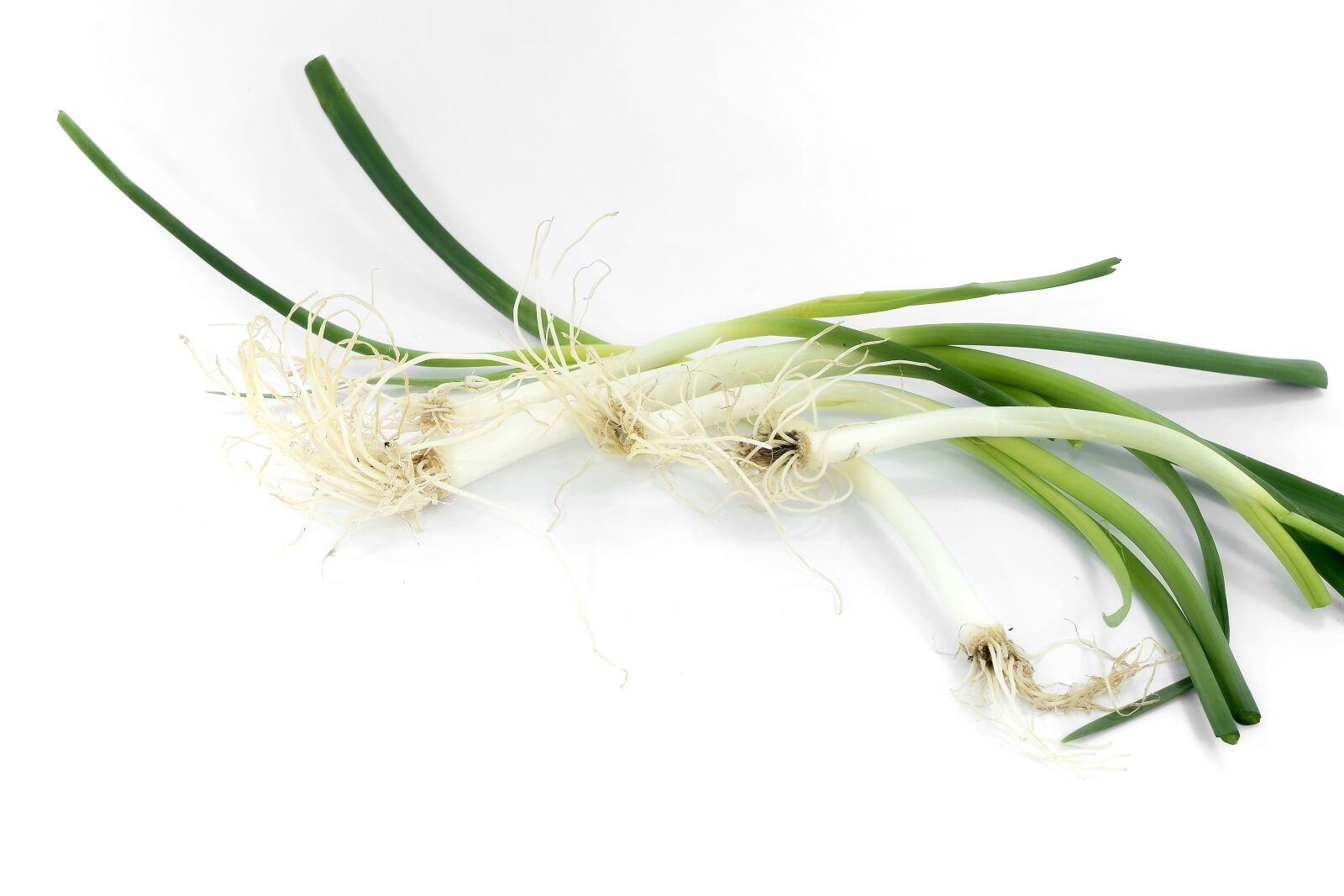 Nikon D5500 sample photo. Antibacterial, antioxidant, chives, diet photography