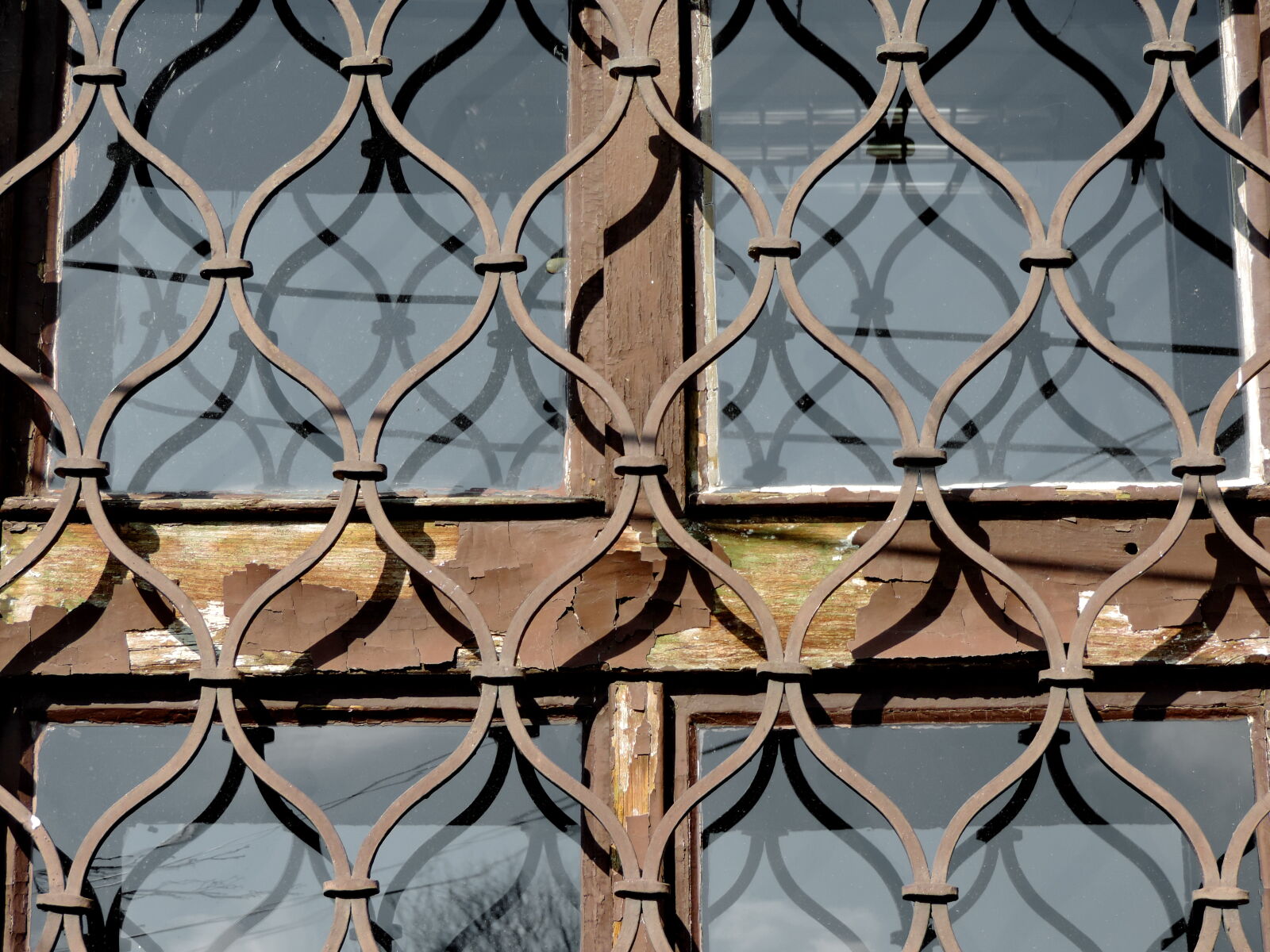 Nikon Coolpix P520 sample photo. Fence, barrier, iron, design photography