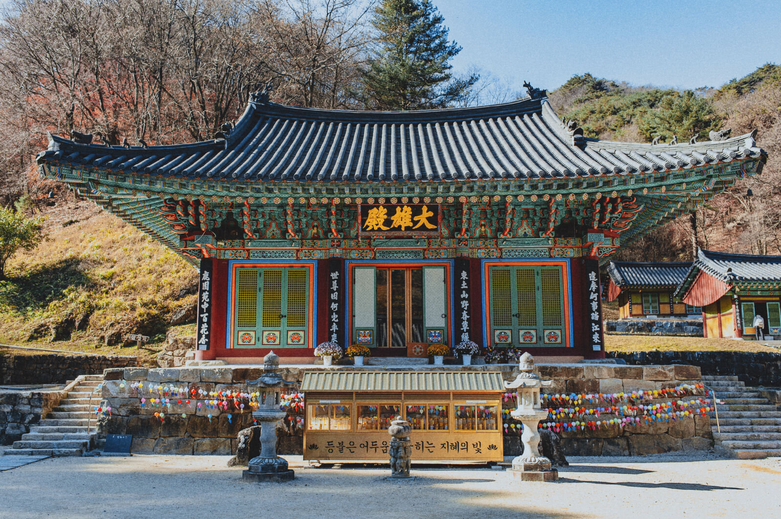 Nikon D700 sample photo