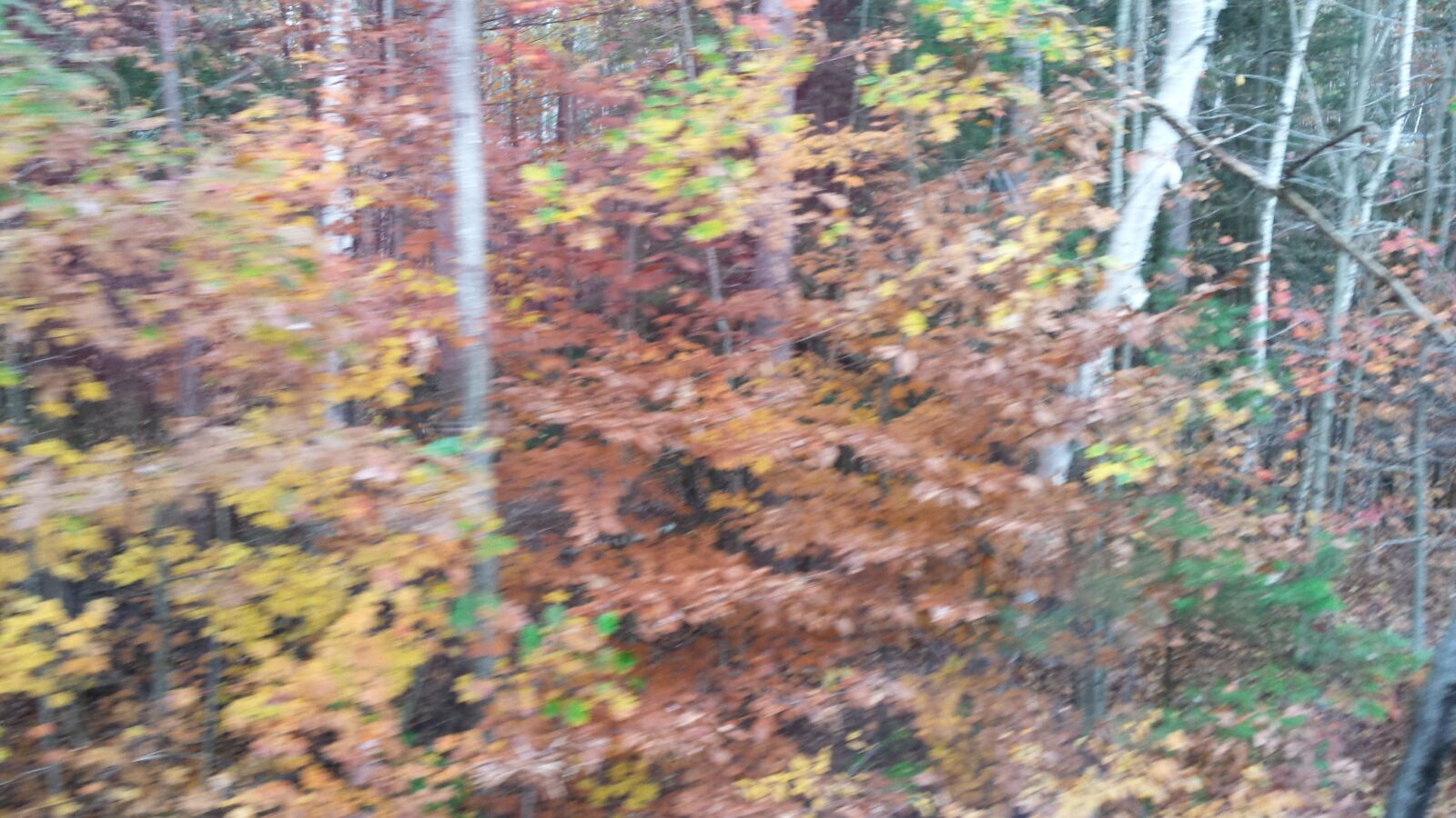 Samsung Galaxy S4 sample photo. New hampshire, foliage, scenic photography