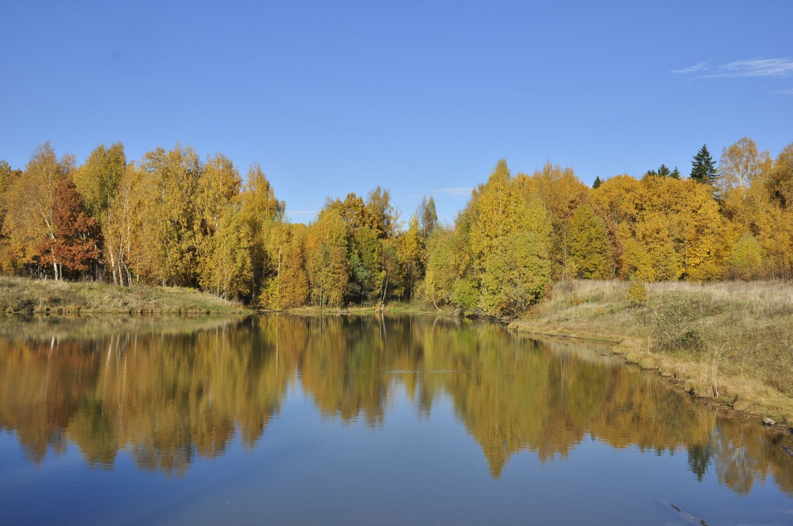 Nikon D5000 sample photo. Abramtzevo, autumn, forest photography