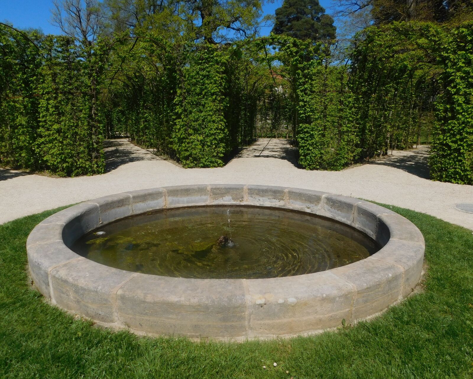 Nikon Coolpix L840 sample photo. Fountain, labyrinth, green photography