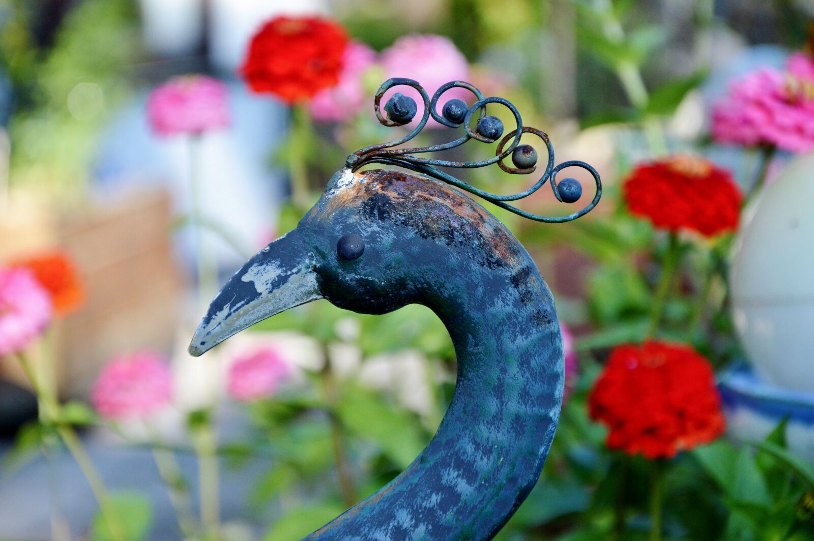 Nikon D3200 sample photo. Peacock, peacock head, deco photography