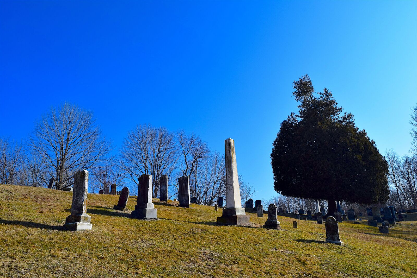 Nikon D3300 sample photo. Cemetery, daylight, blue sky photography