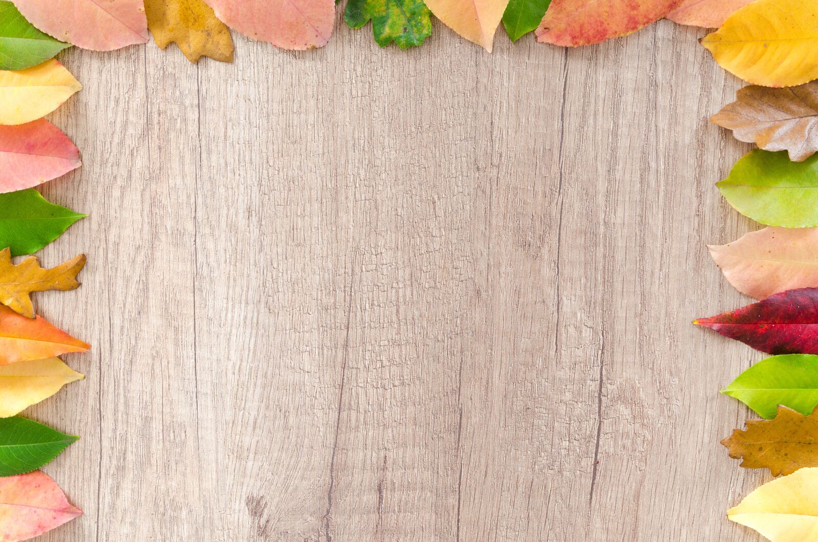 Nikon D5100 sample photo. Autumn, orange, nature photography