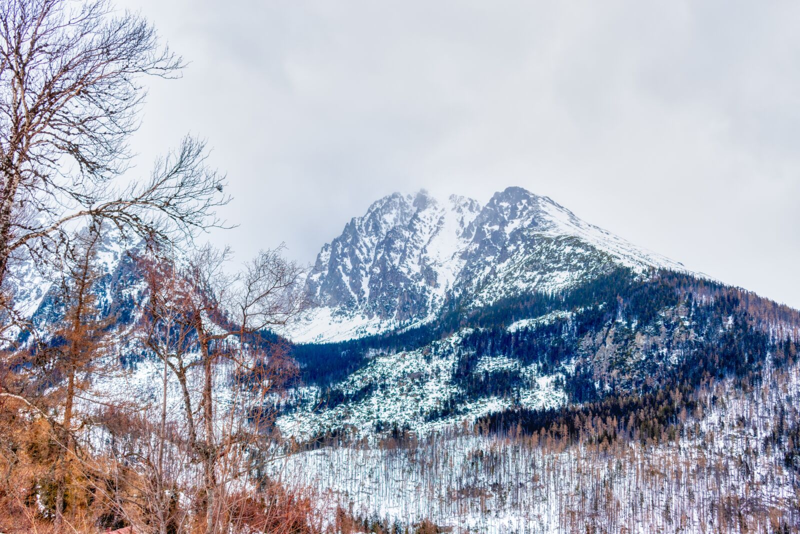 Nikon D5600 sample photo. Lomnicky stit, lomnicky peak photography