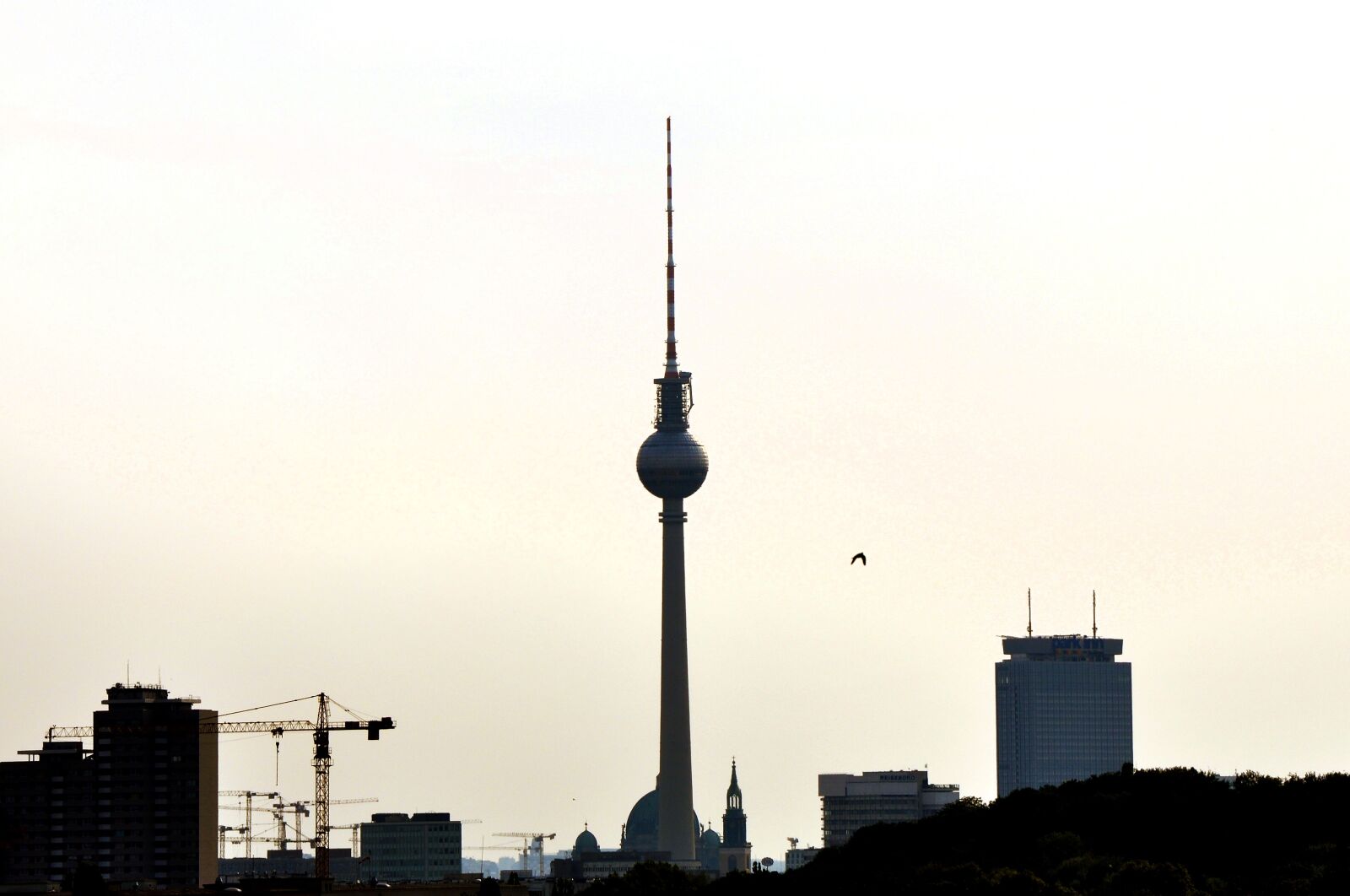 Nikon D90 sample photo. Berlin, tv tower, capital photography