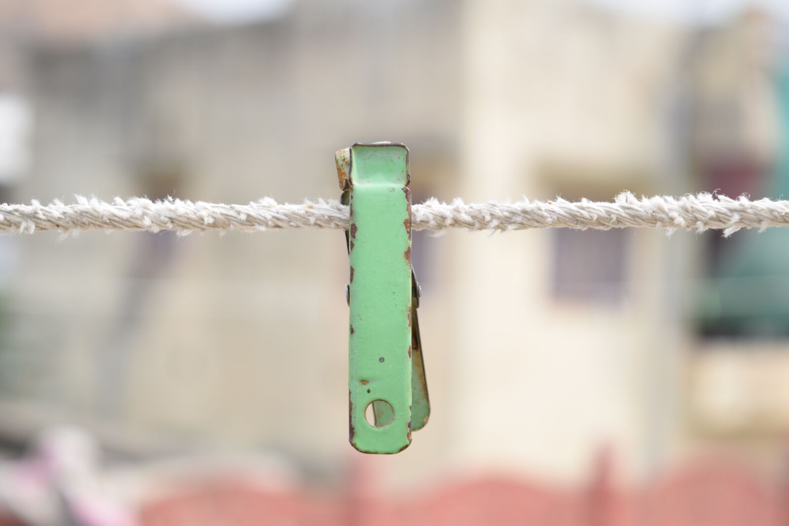 Nikon D5300 sample photo. Blur, pin, colorful photography