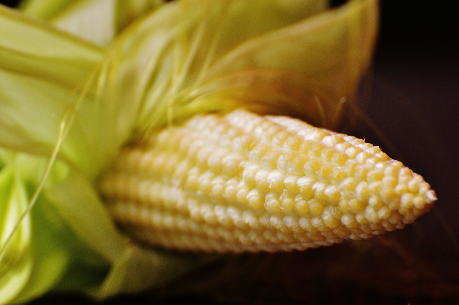 Nikon D3200 sample photo. Corn, young, vegetables photography