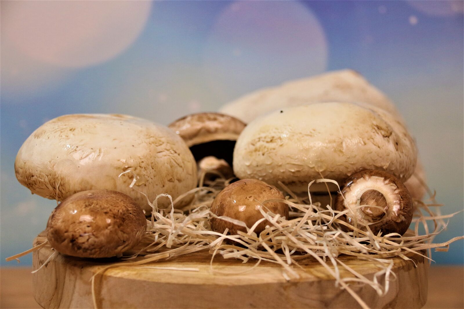 Canon EOS 700D (EOS Rebel T5i / EOS Kiss X7i) sample photo. Mushrooms, delicious, nutrition photography