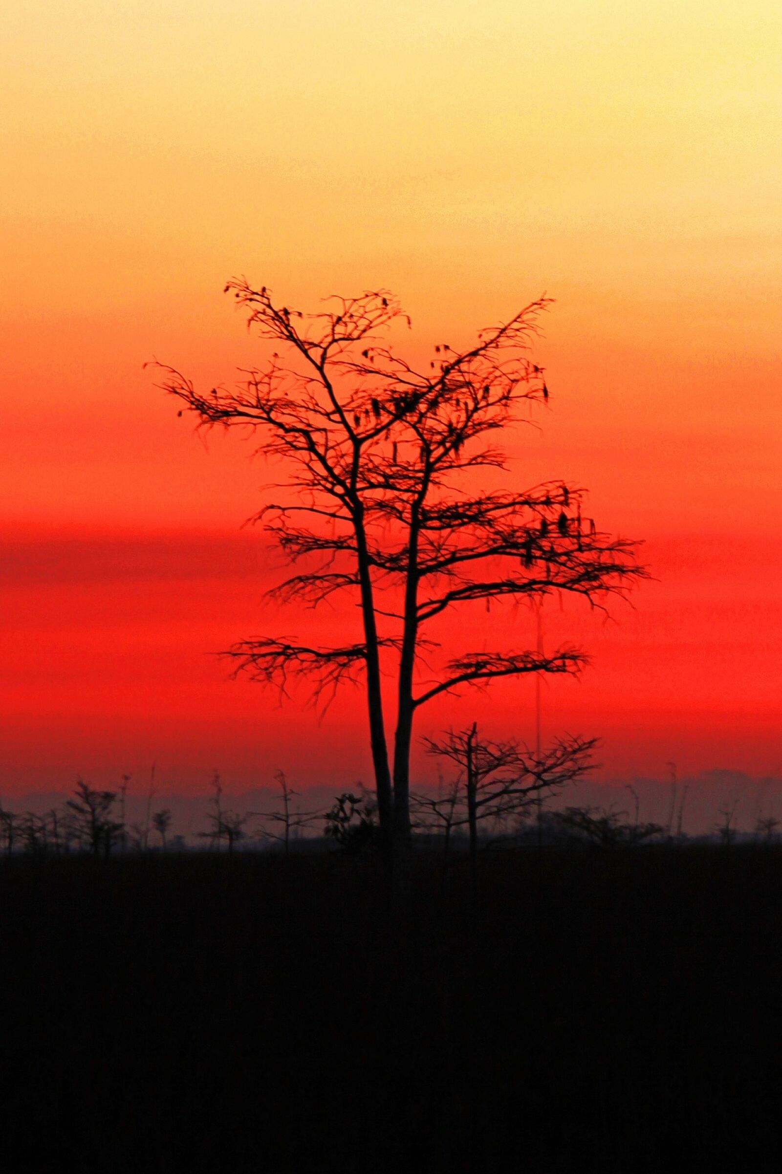 Canon EOS 5D Mark II sample photo. Sunset, landscape, sky photography