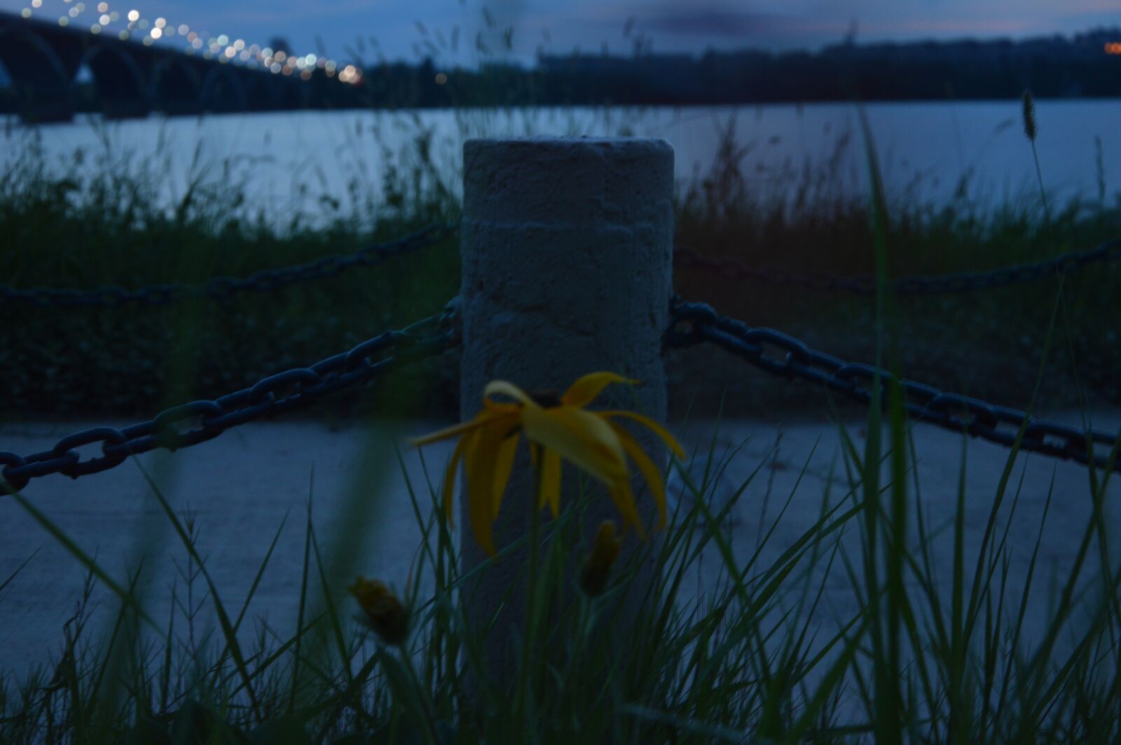 Nikon D3200 sample photo. The scenery, water, night photography