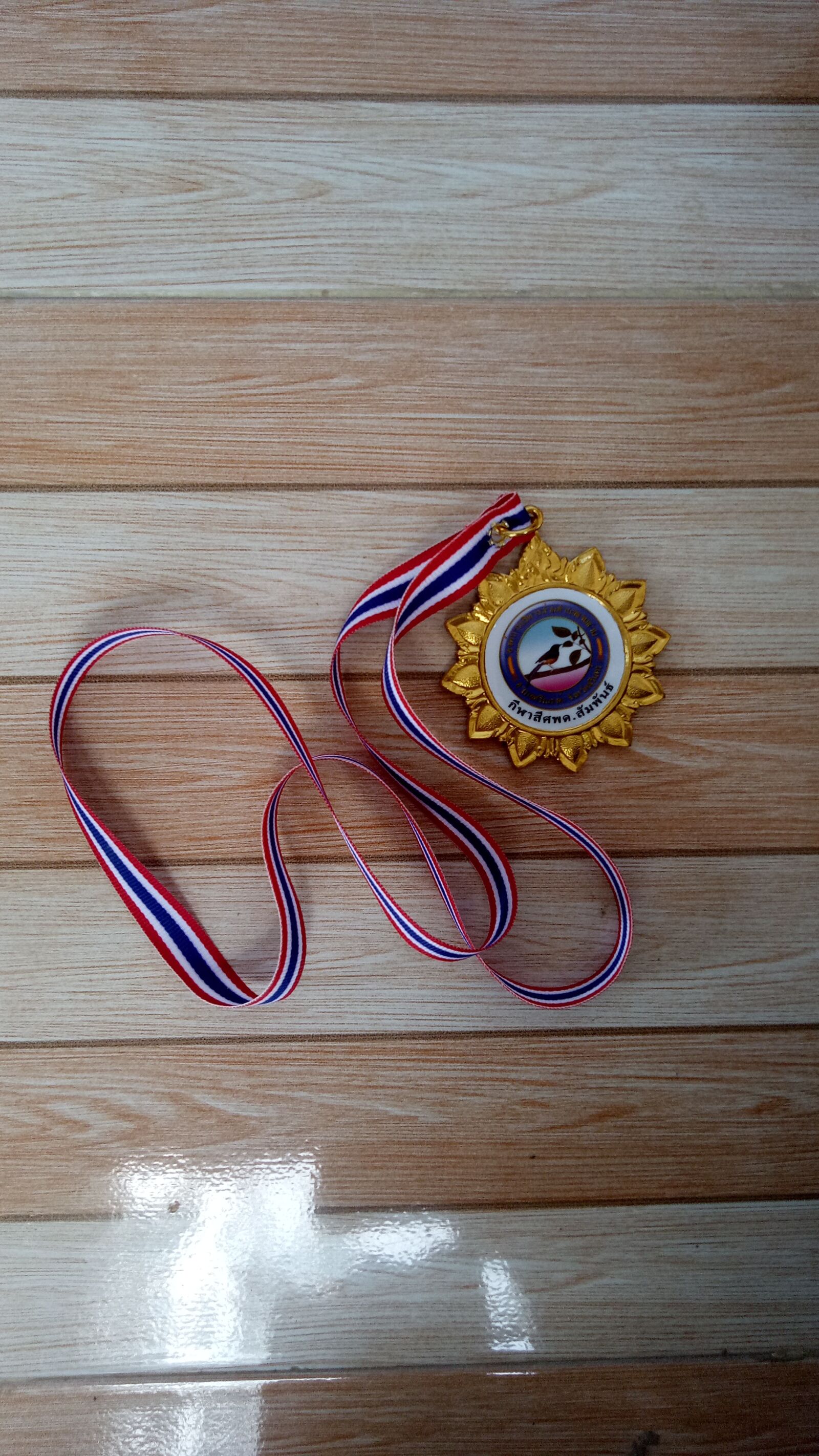 OPPO CPH1717 sample photo. Gold medal, sports, competitive photography