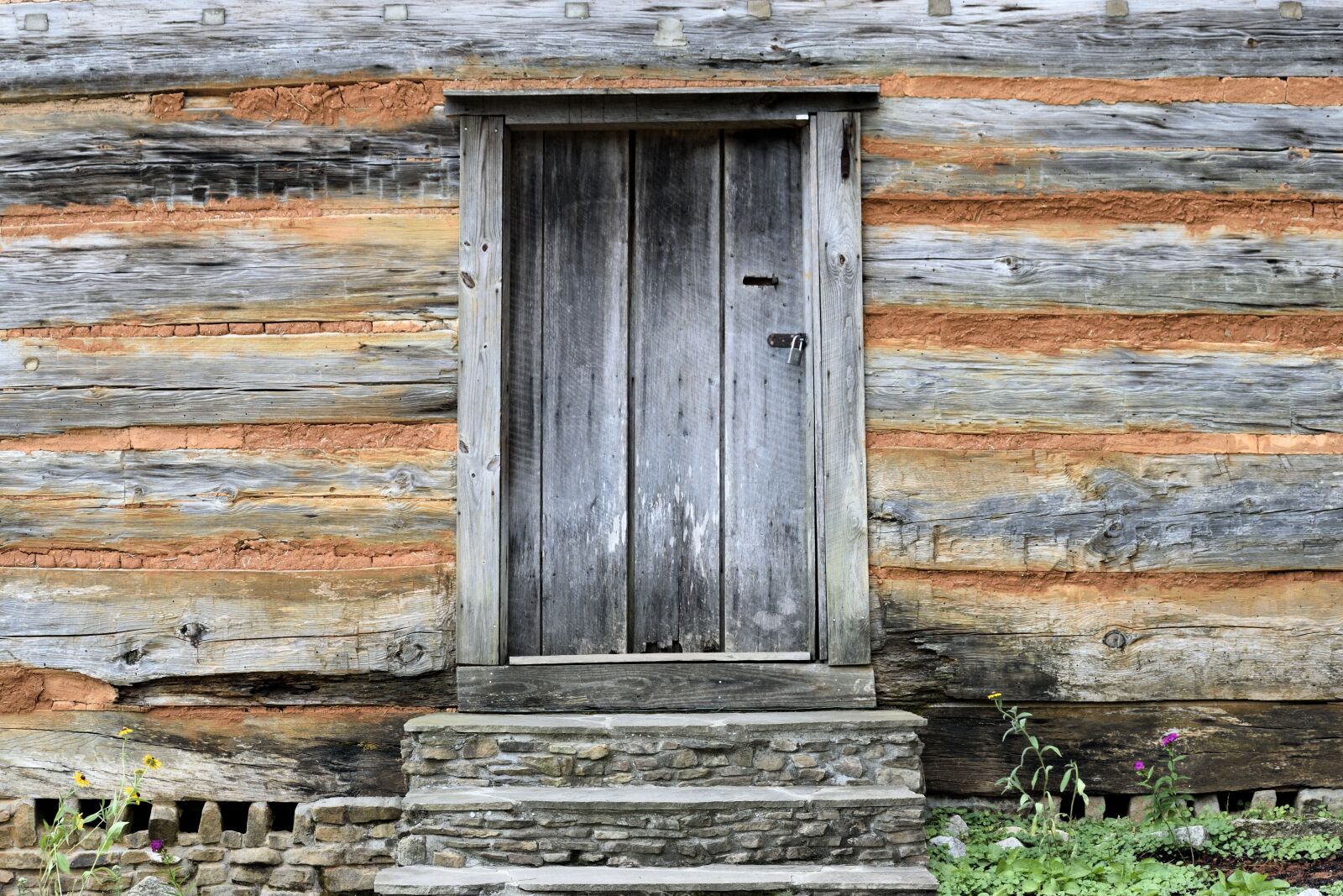 Nikon D3300 sample photo. Old wall, vintage, background photography