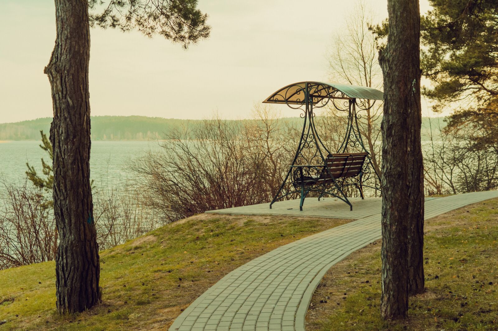 Nikon D3200 sample photo. Swing, breakage, spruce photography