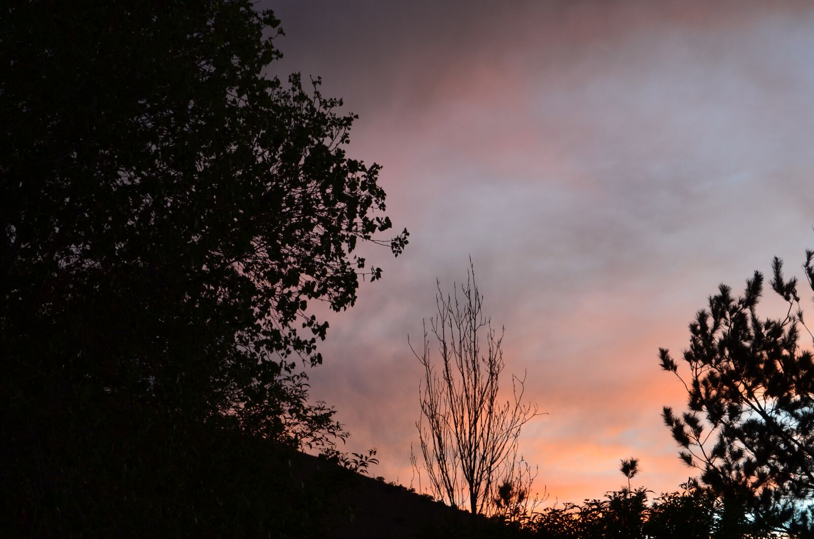 Nikon D5100 sample photo. Cloud, tree, landscape photography