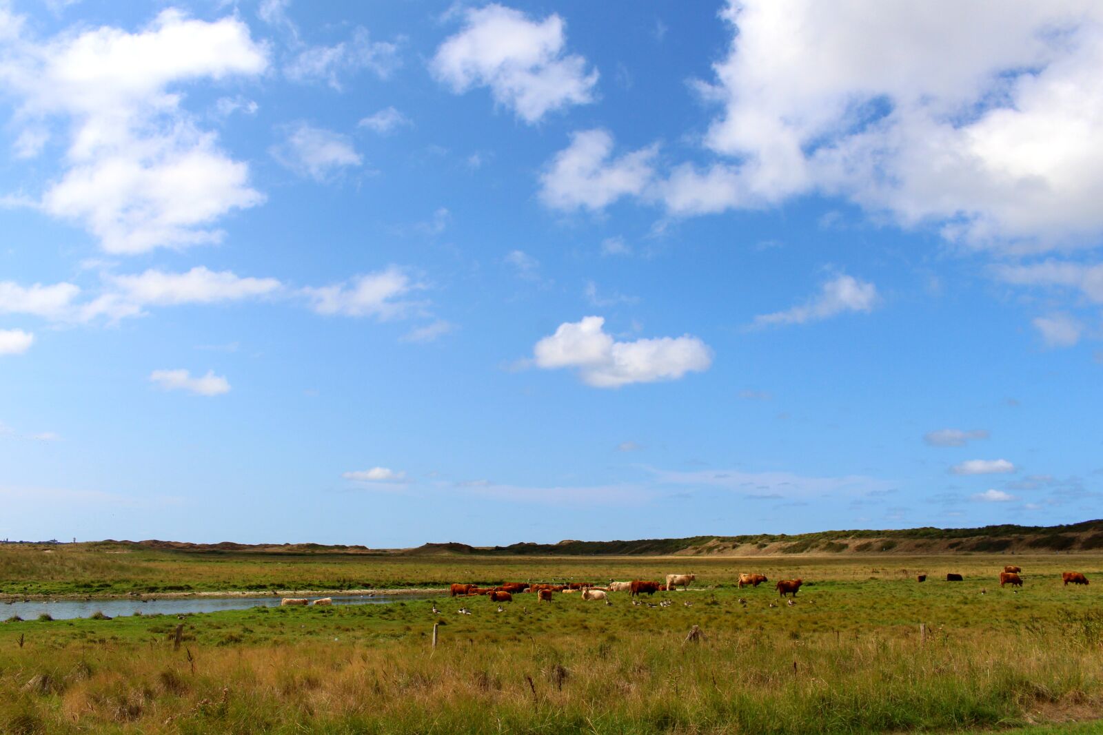 Canon EOS 700D (EOS Rebel T5i / EOS Kiss X7i) sample photo. Landscape, langeoog, nature photography