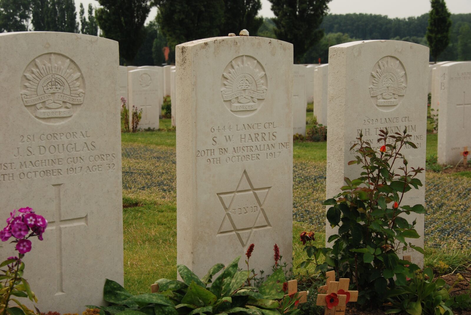 Nikon D80 sample photo. Belgium, tyne cot, first photography