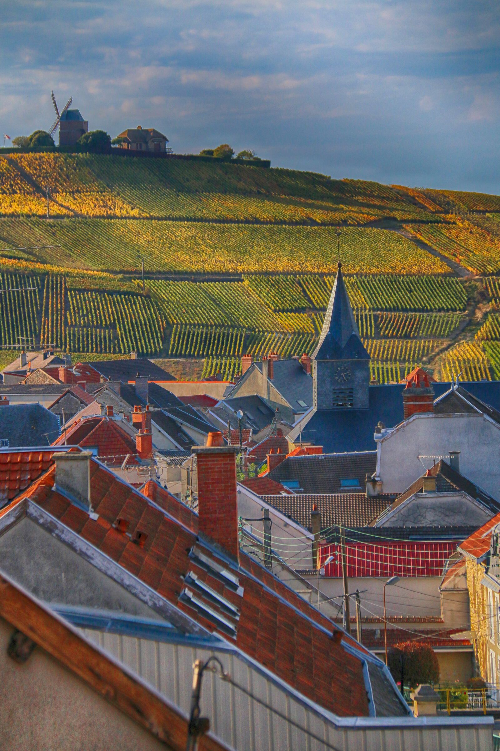 Canon EOS 70D sample photo. Landscape, village, vine photography