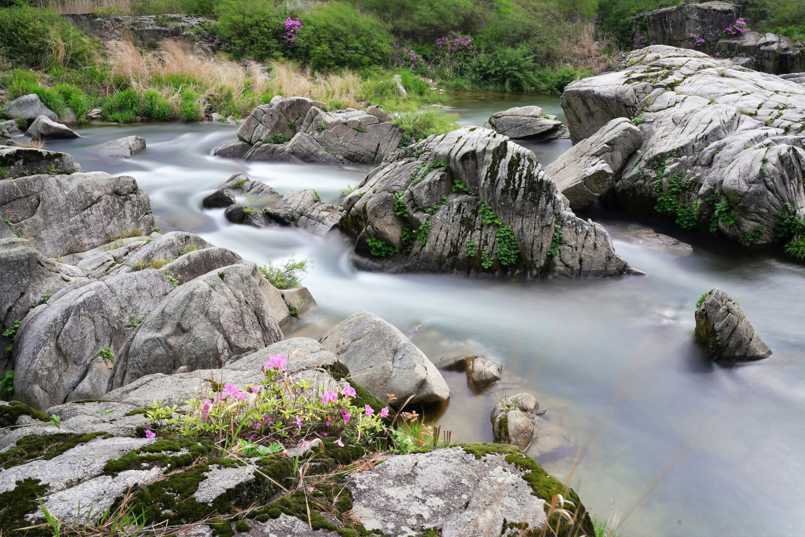 Sony FE 24-105mm F4 G OSS sample photo. Azalea, brook, water photography