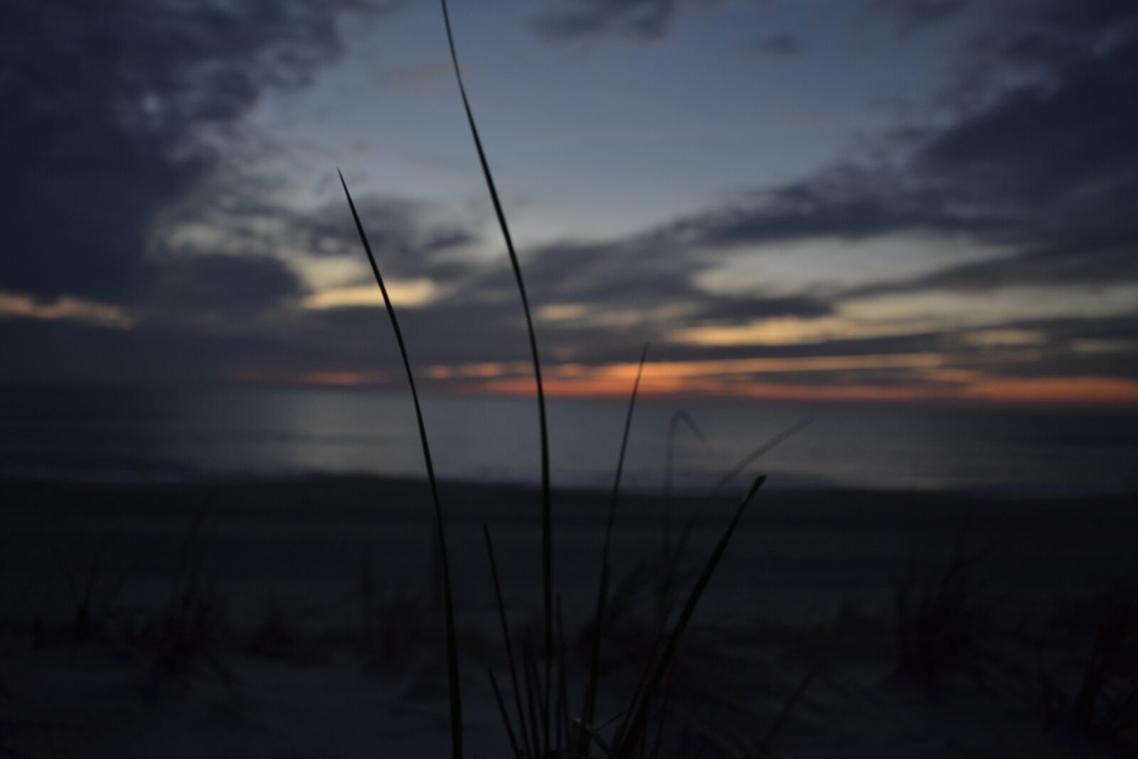 Nikon D3100 sample photo. Sunrise, grass, beach photography