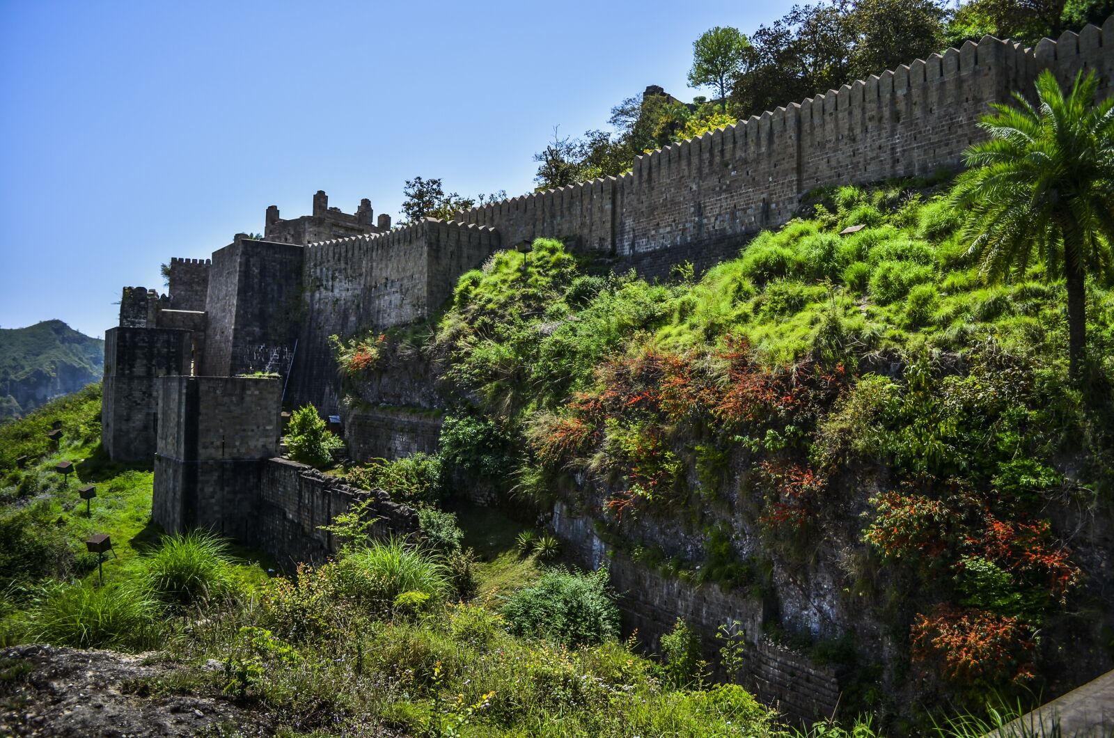 Nikon D5100 sample photo. Fort, travel, green photography