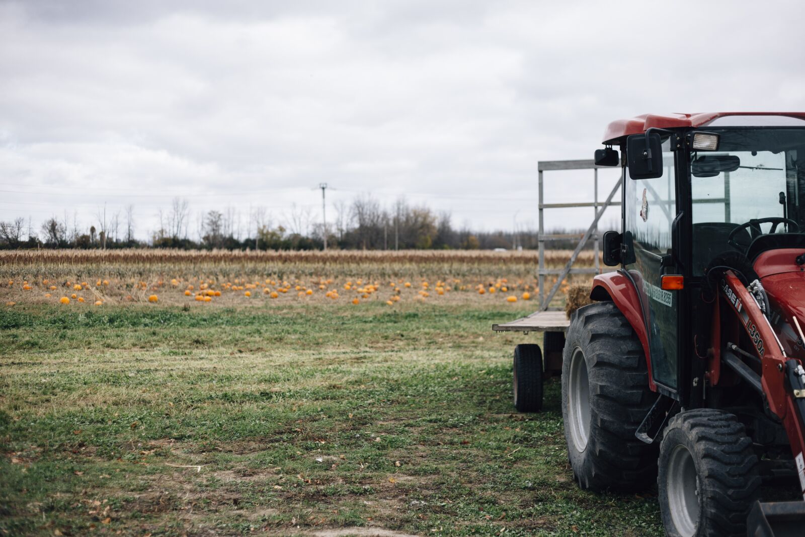 Canon EF 50mm F1.8 II sample photo. Tractor, farm, pumpkin photography