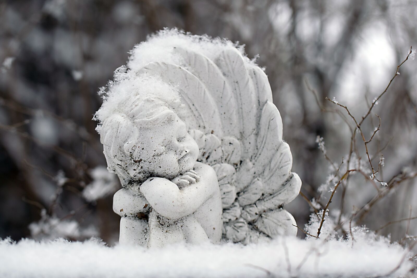 Nikon D3300 sample photo. Snow, winter, frost photography