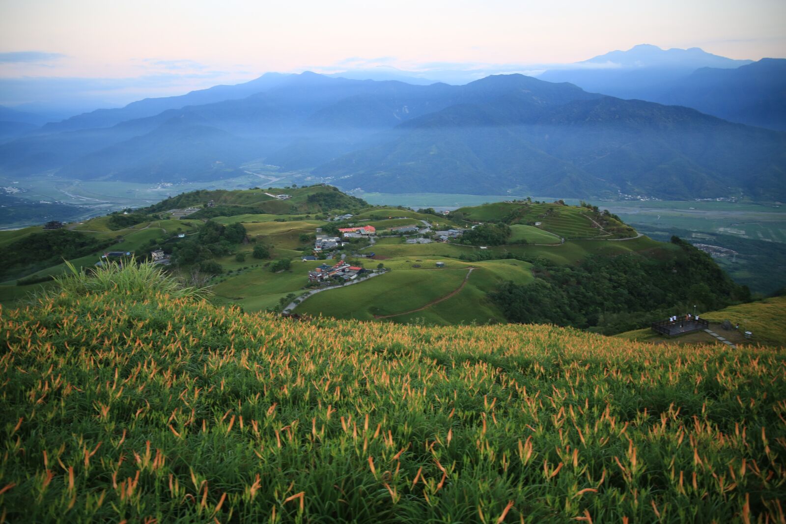 Canon EF 24-105mm F3.5-5.6 IS STM sample photo. Taiwan, little switzerland, flower photography