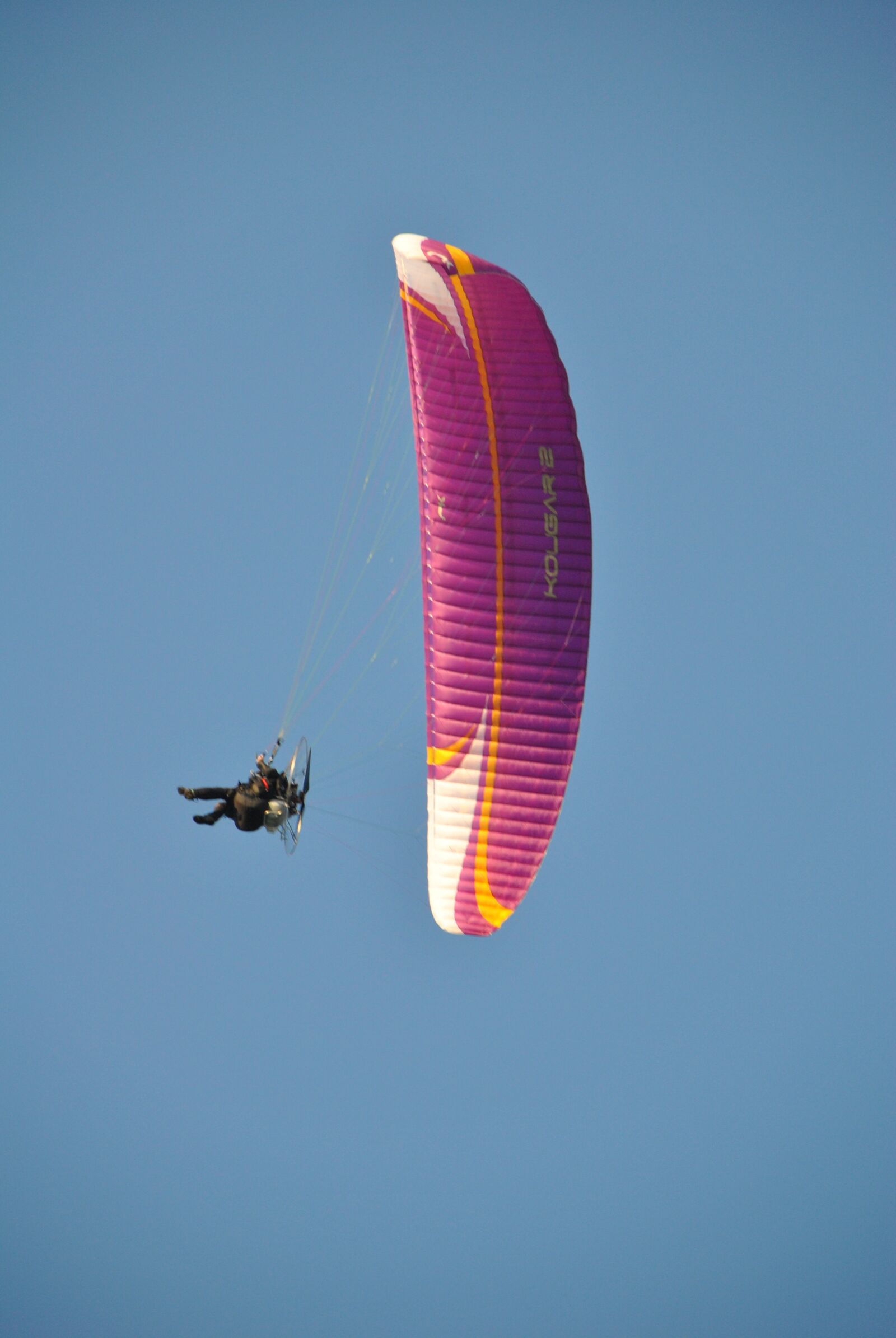 Nikon D3000 sample photo. Flight, sky, air photography