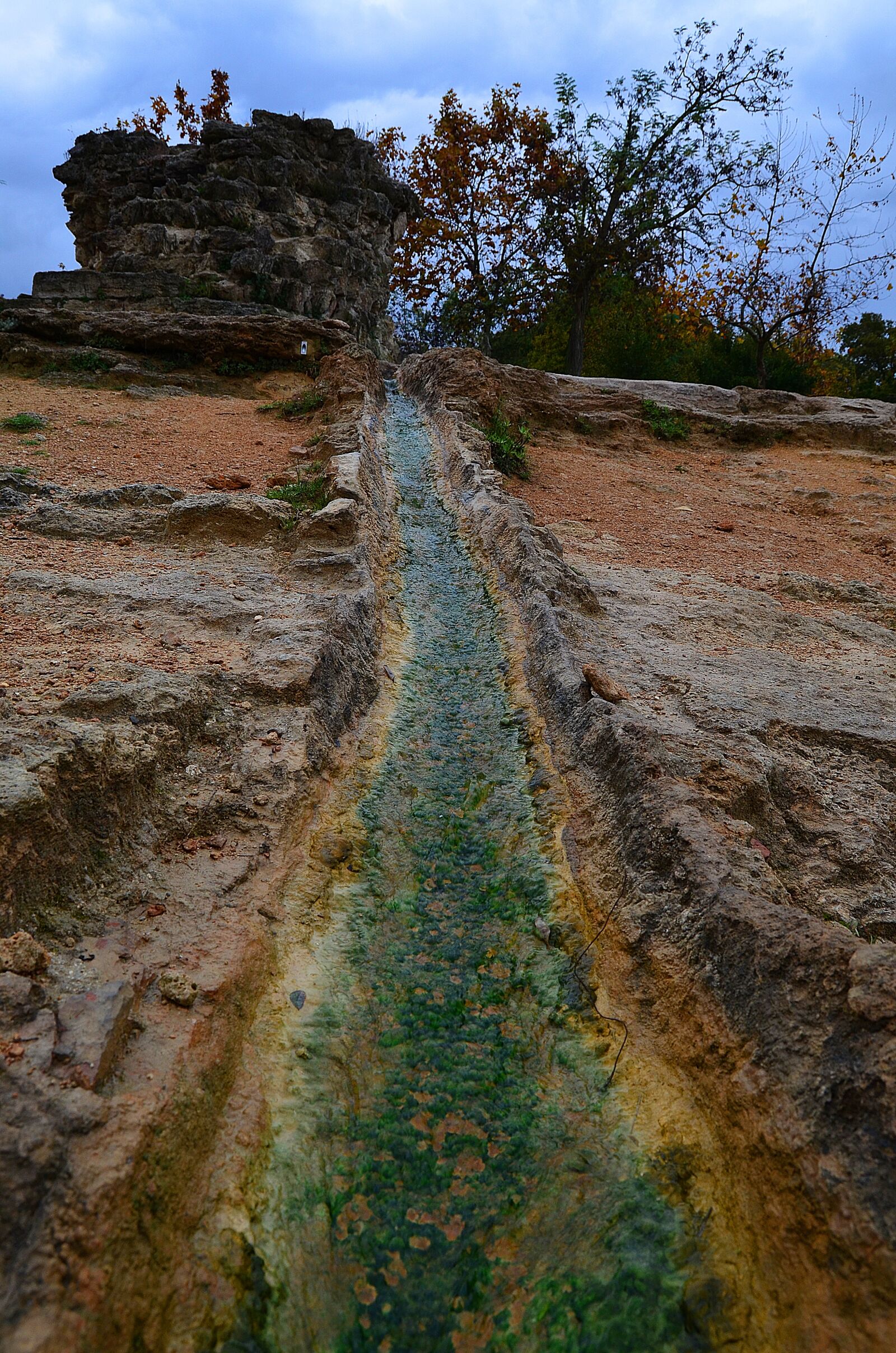 Nikon D7000 sample photo. Creek, weed, the bushes photography