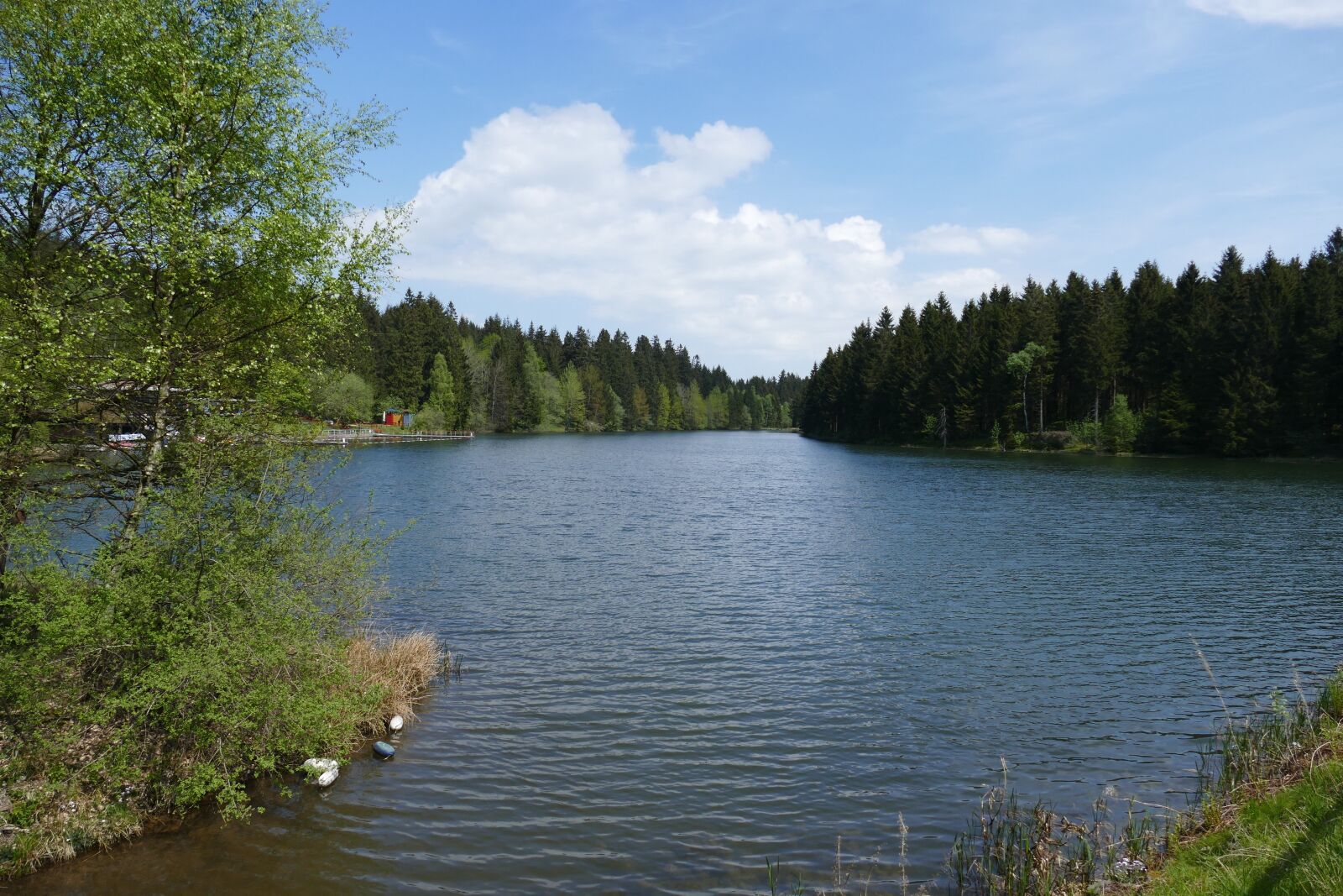 Panasonic Lumix DMC-FZ1000 sample photo. Grumbach pond, hahnenklee, pond photography