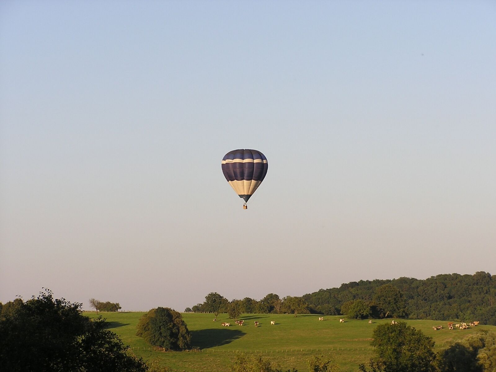 Olympus C740UZ sample photo. Sky, hot-air ballooning, nacelle photography