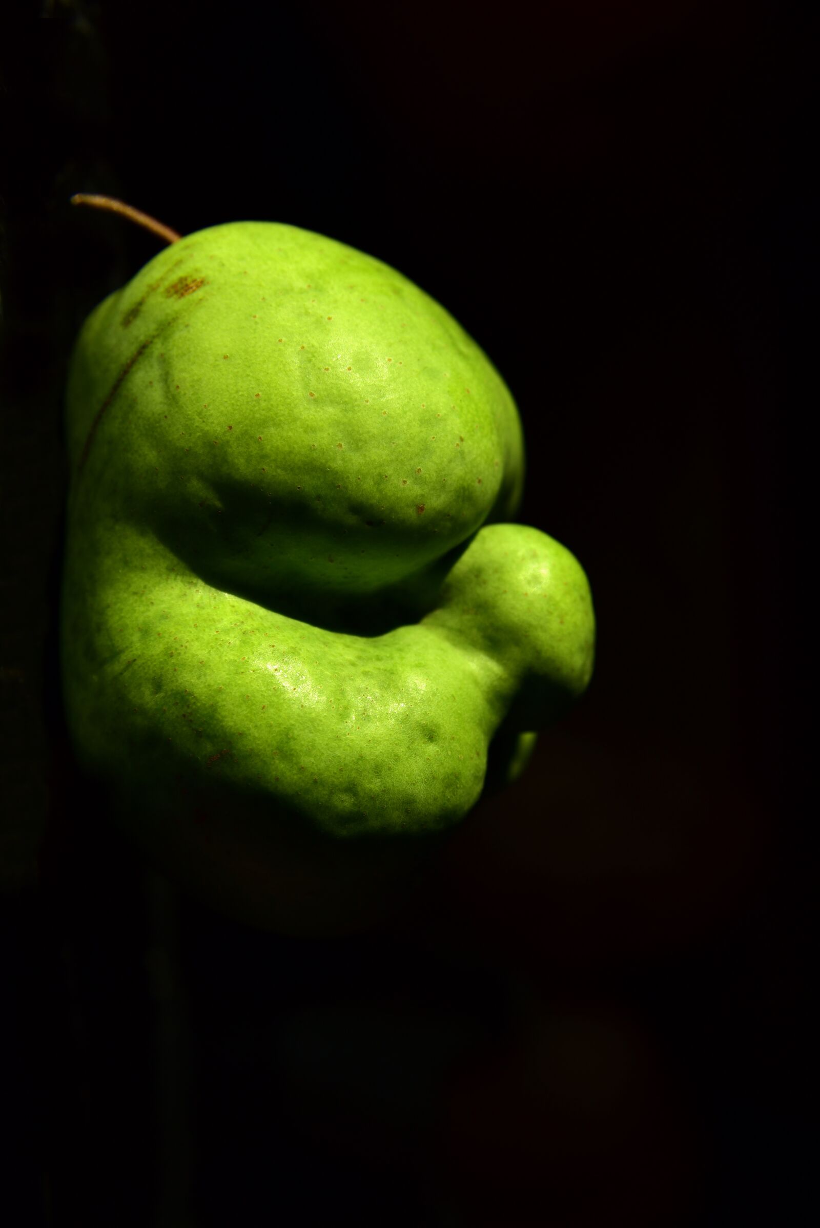 Nikon D750 sample photo. Pear, fruit, crippled photography